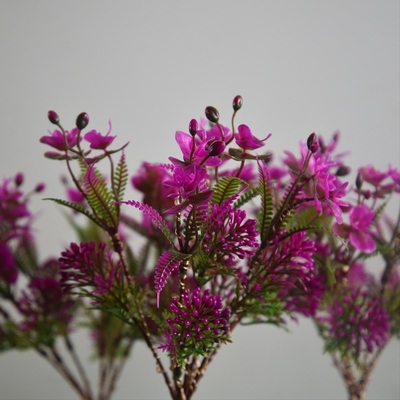 Μικρό φως χορτοταπήτων κήπων τοπίων Wildflowers φω'των κήπων των ηλιακών οδηγήσεων Phalaenopsis