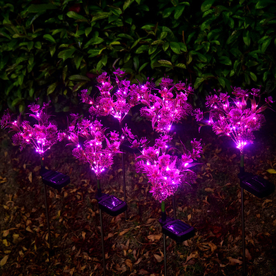 Μικρό φως χορτοταπήτων κήπων τοπίων Wildflowers φω'των κήπων των ηλιακών οδηγήσεων Phalaenopsis